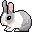 a grey and white rabbit