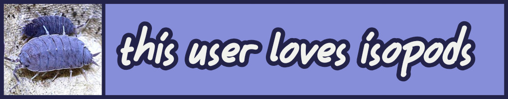 a graphic of a cute indigo isopod, with the text: this user loves isopods